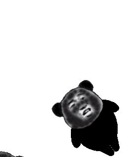 熊猫gif