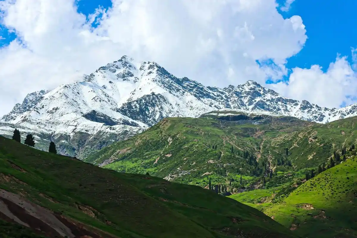 六月的新疆有多美 #来新疆感受美丽大自然 在这里