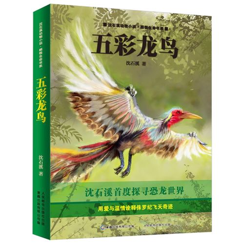 五彩龙鸟 沈石溪动物小说感悟生命书系 三四五六年级小学生动物小说