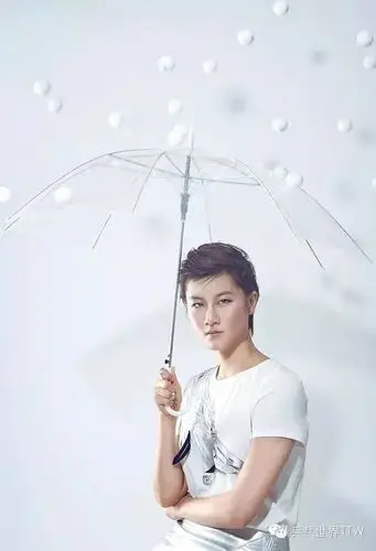 丁宁拍画报展现柔美风情_高清图集_新浪网