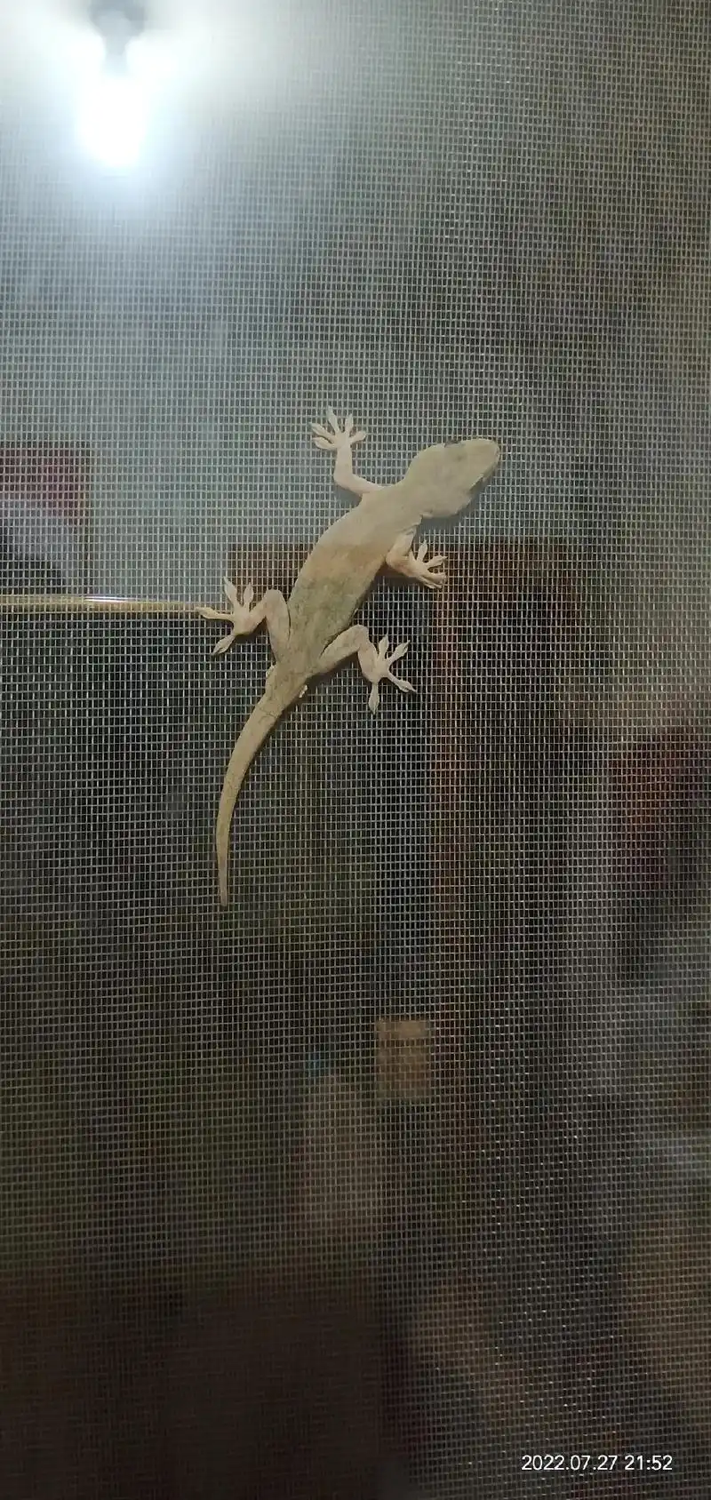 只有照片能记录这份珍贵 小壁虎 - 抖音