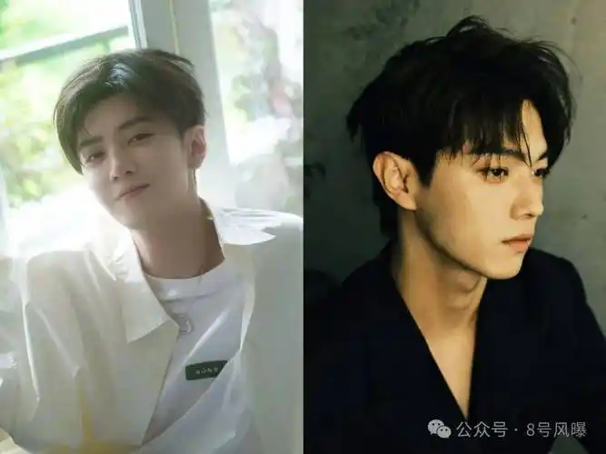 陈哲远_许凯_网友