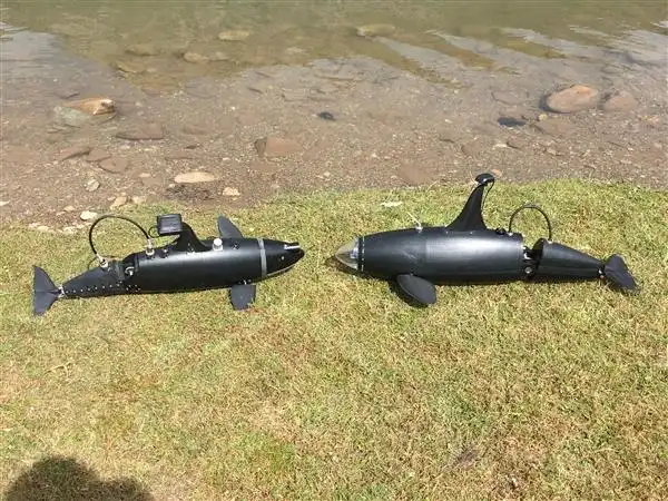 仿生机器海豚 吴正兴供图