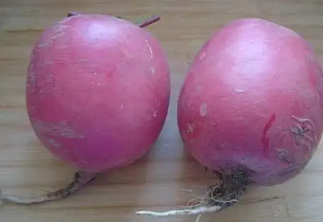 这个卞萝卜也叫红皮萝卜