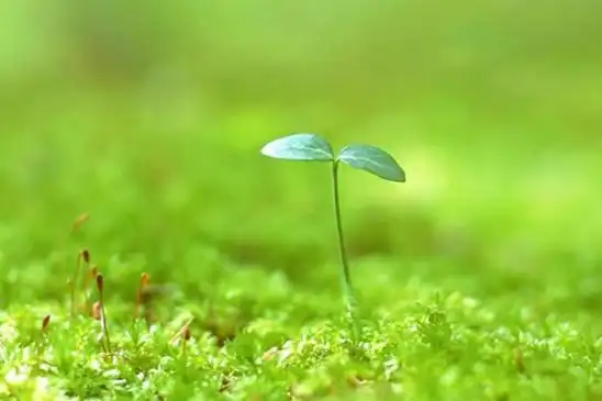 和简单的人在一起,轻松愉悦,身心舒畅