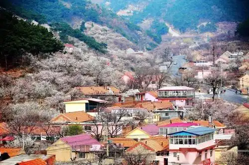 城阳3个村被评为"首批山东省景区化村庄"