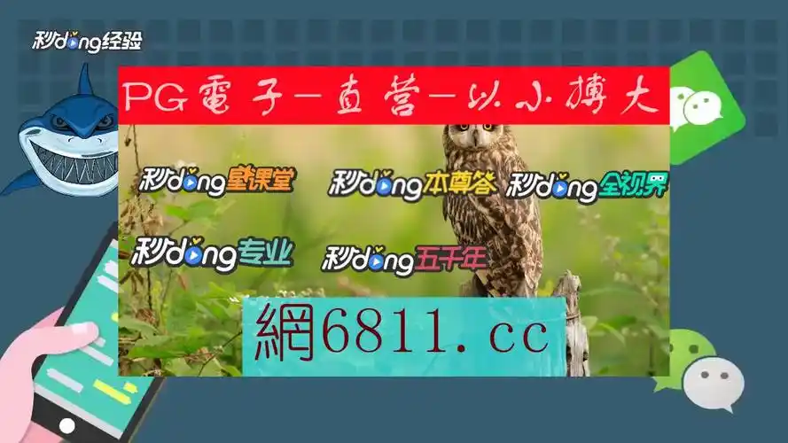 三分钟明白:2024澳门特马今晚开奖06期