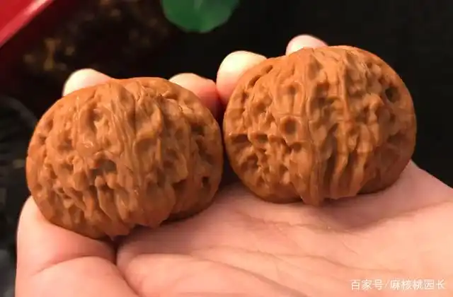 陈年核桃值得盘玩吗?您想要了解的都在这里了!