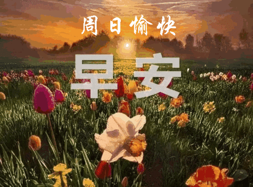 周日美句话要讲得恰到好处多一句少一句都不好祝你周日快乐早安