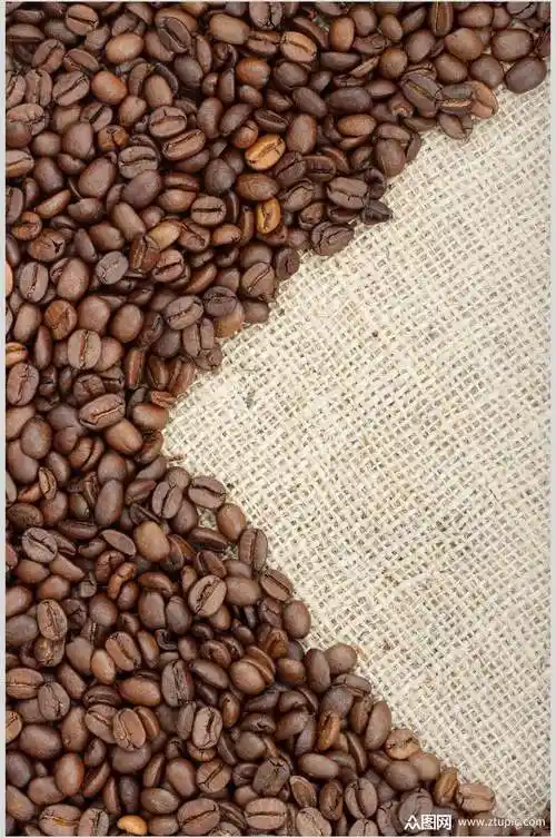 精选新鲜咖啡豆食品摄影图片素材