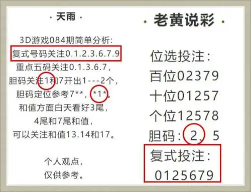 3d085期资深玩家荐号集成