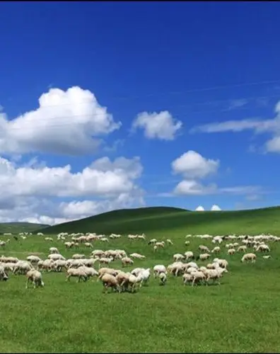 天边草原 纯美乌拉盖