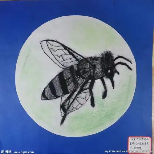 勤劳的小蜜蜂摄影图__美术绘画_文化艺术_摄影图库_昵图网nipic.com