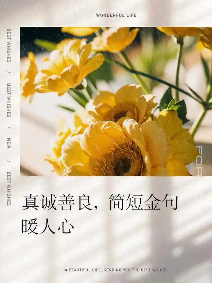真诚善良,简短金句暖人心