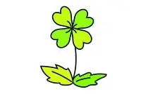 四叶草简笔画可爱画法