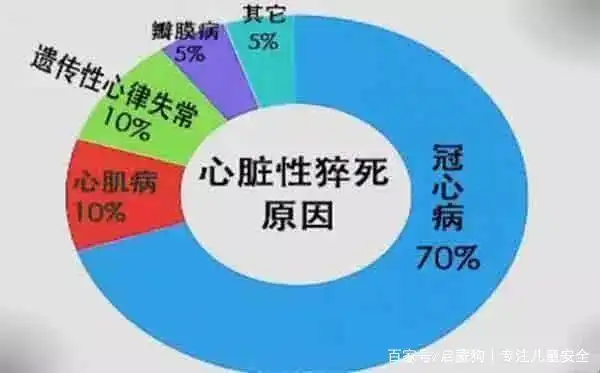 一学生篮球场猝然倒地,救治4天后离世,11分钟无人施救