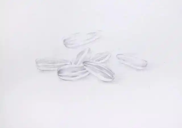 教你用彩铅画葵花籽 快随画出逼真的彩铅瓜子!