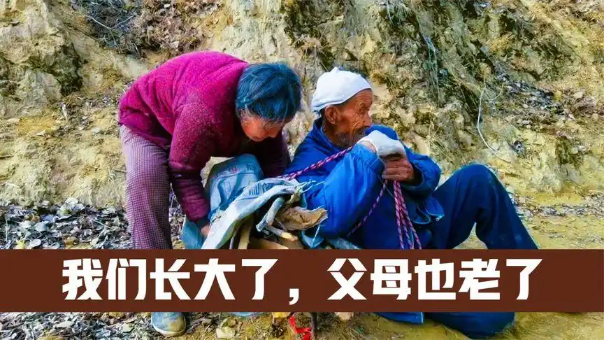 看着父母渐渐老去的背影,一首《万爱千恩》愿所有父母健康快乐