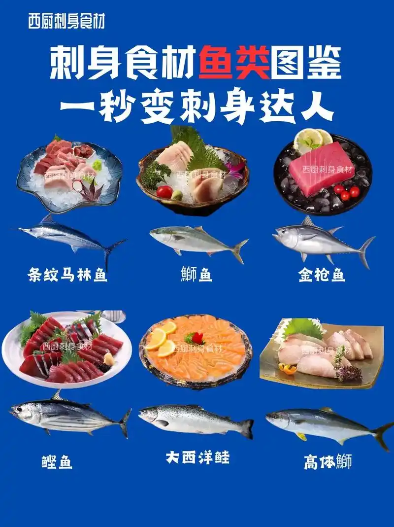 刺身食材鱼类图鉴,你都吃过哪几种?刺身都有哪几种品种?这是1 - 抖音