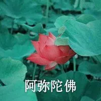 莲花头像带字 佛系莲花头像带字_微信头像图片大全