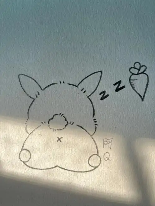 发给你喜欢的人给你画爱睡觉的小兔兔#简笔画  #总有一束光