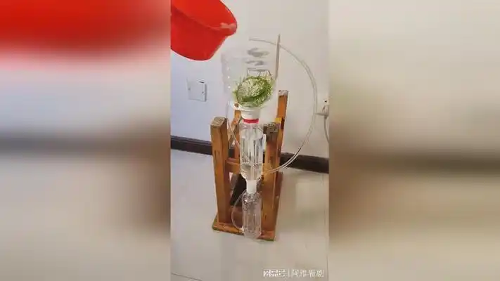 自制不用电的循环水鱼缸