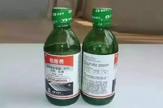 驻马店一奶奶给孙女用剧毒农药洗头,只因这原因.