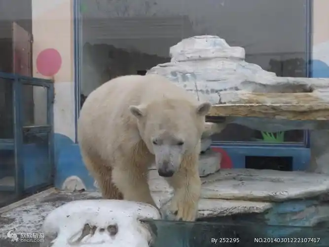 大连市适合孩子玩的景点圣亚海洋世界森林动物园大连夜景游