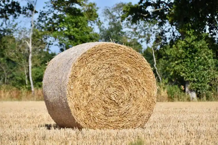 麦田里的干草捆图片2560x1600分辨率查看