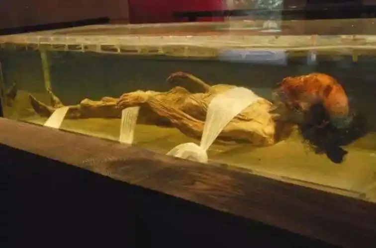 荆州博物馆【王奕钒】