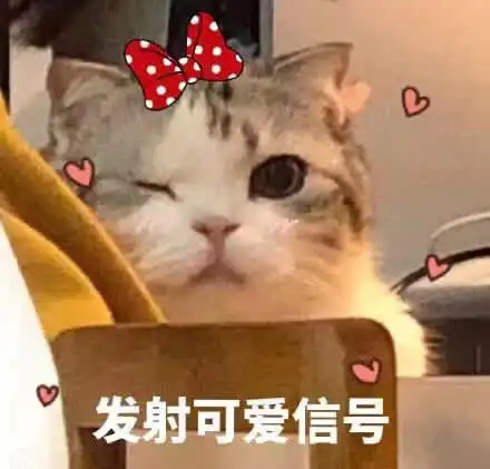 发射可爱信号-聊天表情-斗图表情包-表情包网站