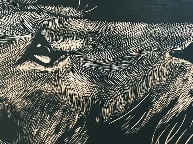 手工雕刻黑白木刻版画狮子