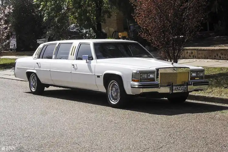 加长礼宾车的猫儿腻