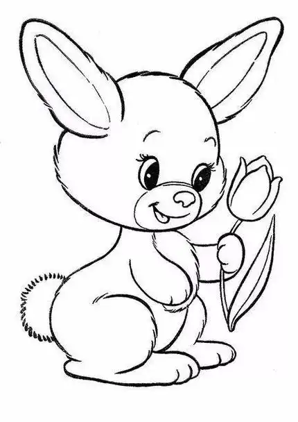 可爱的动物简笔画的视频