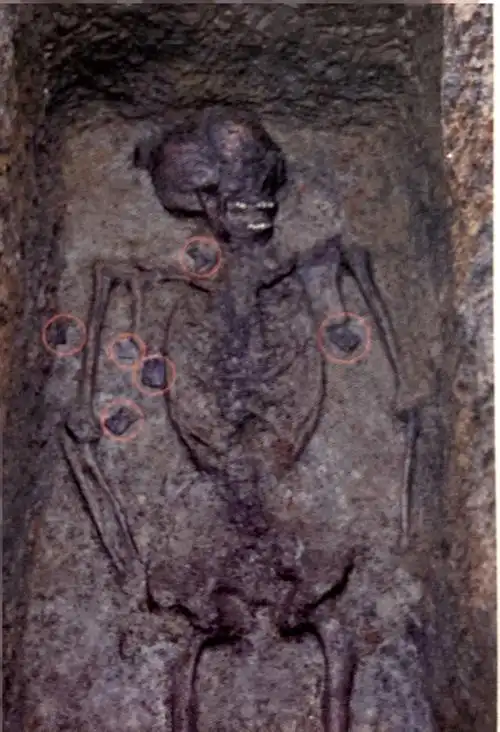 从上海"三星堆"特展,再看最新考古视野下的古蜀文