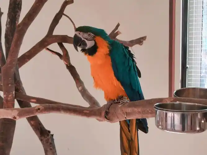 山东齐河野生动物园假期里还是值得一游的