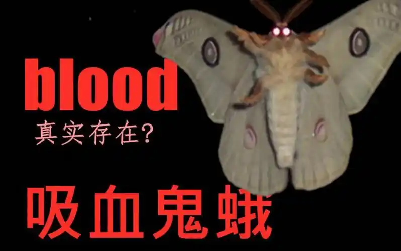 吸血鬼蛾真实存在