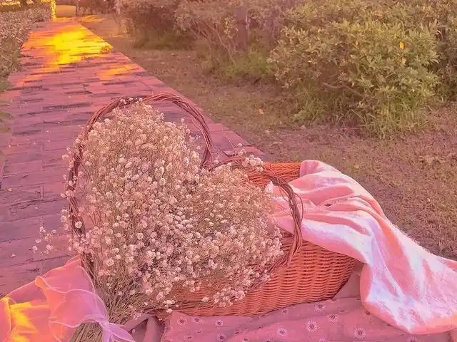 5.1温柔到极致的句子,干净又美好,温柔又暖心