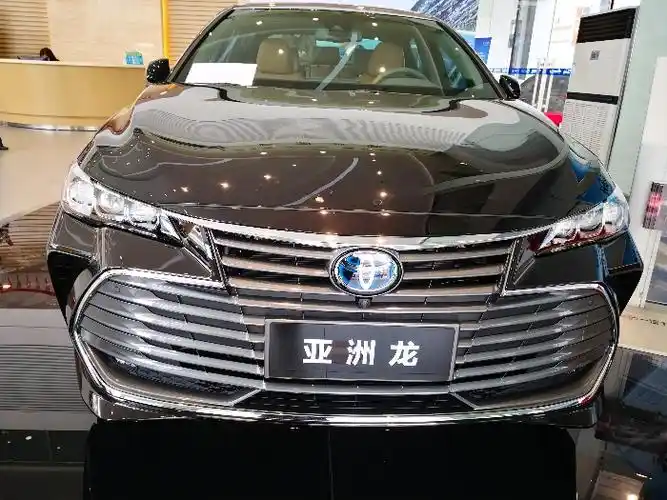 【图】碳晶棕真漂亮_亚洲龙论坛_汽车之家论坛