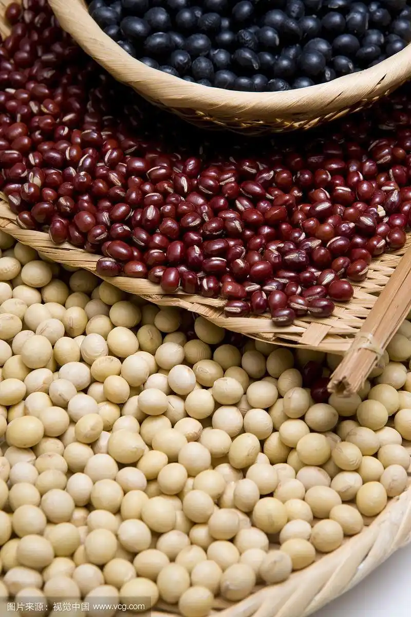各种豆类特写