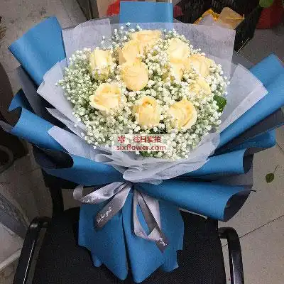 11朵香槟玫瑰满天星,爱你一生一世