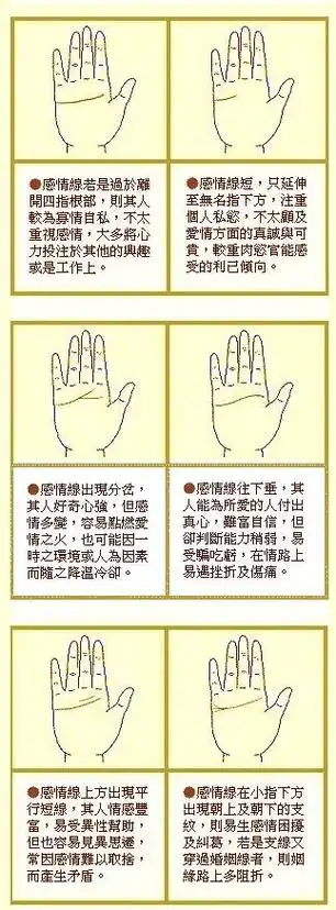 最详细的女人手相图解