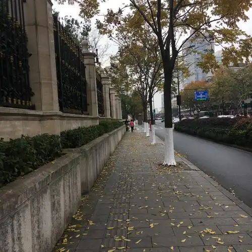 布满落叶的街头,一地落叶一地情深深