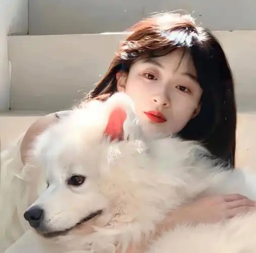 优质女生头像 #狗狗  #抱宠物的美女头像 #小众女生头像  #高清女头