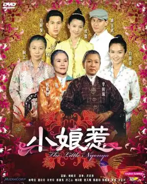 拯救剧荒〕 新加坡电视剧《小娘惹》