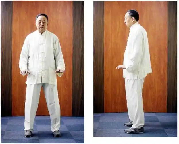 马世琦尚派形意拳秘传内功八桩