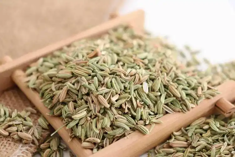 小茴香菜[1]和它的果实一样都有一种特殊的香气,但是小茴香菜口感鲜嫩