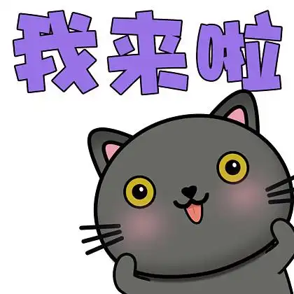 可爱猫咪bee我来了 i>表 /i> i>情 /i> i>包 /i>gif