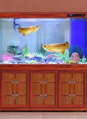 龙鱼缸