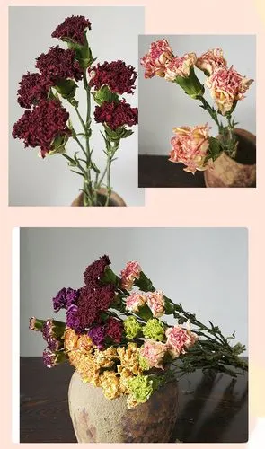 康乃馨干花花束装饰摆设风干花束真花教师节情人节创意礼物乾燥花